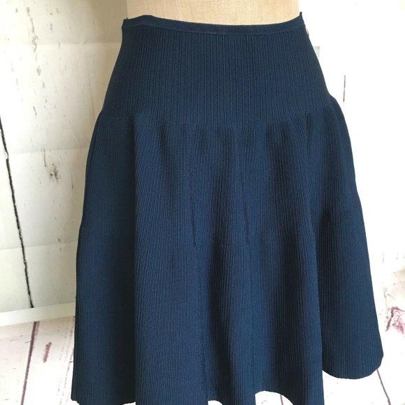 Issa London Dresses & Skirts - Issa London A-Line Skater Skirt Size L Navy Blue
